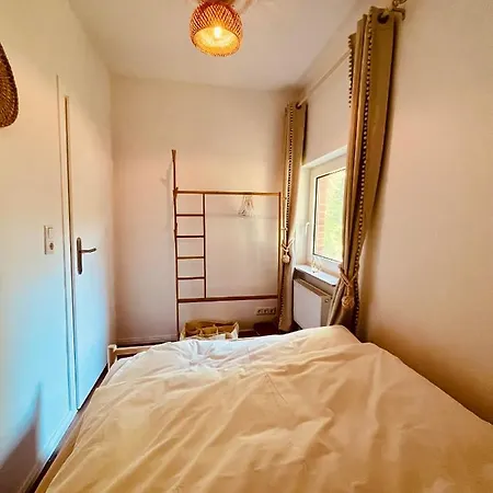 Heideglueck An Der Rotbuche